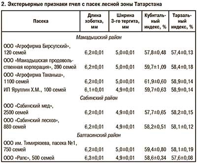 среднерусские пчелы