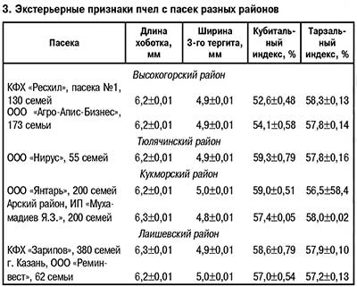 среднерусские пчелы