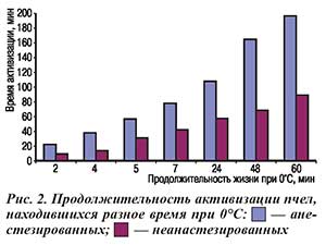 Продолжительность активизации пчел