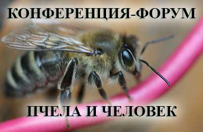 Пчела и чиловек