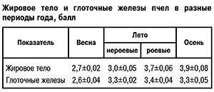 Жировое тело и глоточные железы пчел