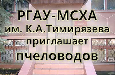 курсы