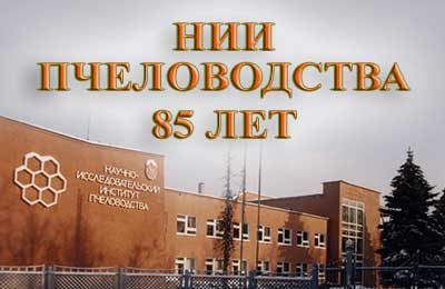 НИИ пчеловодства