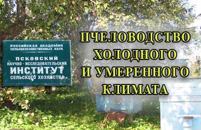конференция по пчеловодству