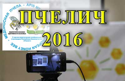 Пчелич-2016