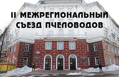 конференция