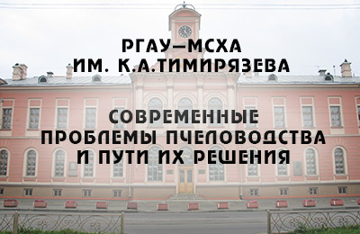 конференция