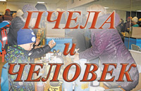 конференция