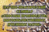 конференция