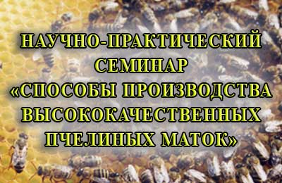 конференция