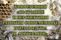 конференция