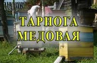 Тарнога медовая