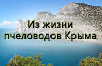 конференция в Крыму