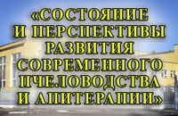 конференция