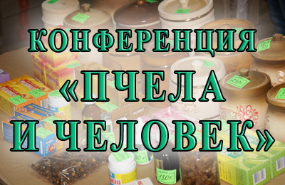 конференция