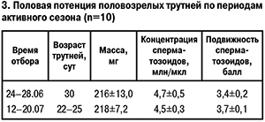 Половая потенция трутней