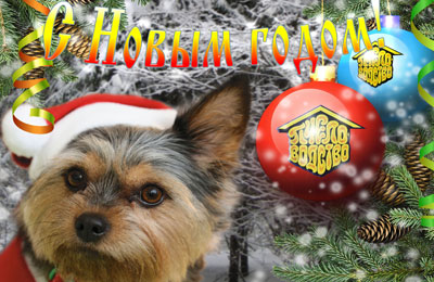 С Новым годом!