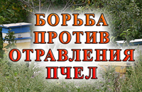 отравления пчел