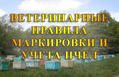 Ветеринарные правила