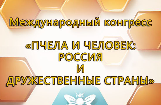 Конгресс Пчела и человек