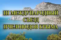 конференция