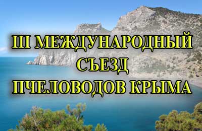 конференция