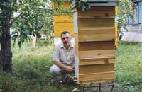 Использование восьмирамочных бесфальцевых ульев
