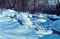 Зимовка в многокорпусном улье