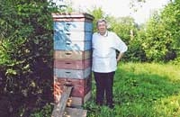 Размножение семей в конце сезона