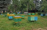 Современное раскулачивание