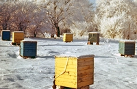 Советы Б.А.Карягина