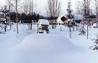 Предупреждение сырости в улье