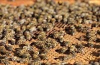 Вопросы по законодательству (6)