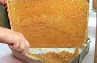Пасечный нож, конструкция
