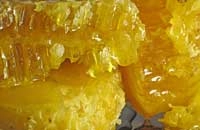 Слагаемые вкуса меда