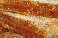 Лечение медом воспаленных и деформированных суставов