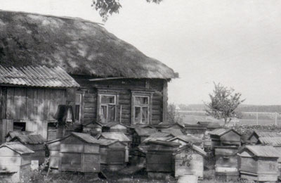 пасека в деревне