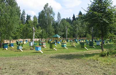 пасека