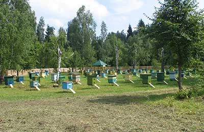 пасека