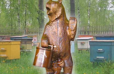 медведь, пасека