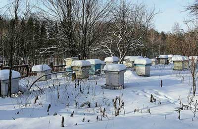 пасека