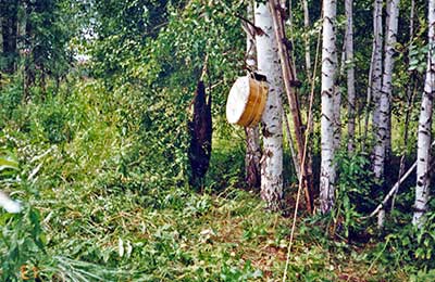 роение