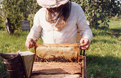 пасека