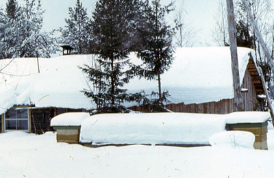 зима, ульи